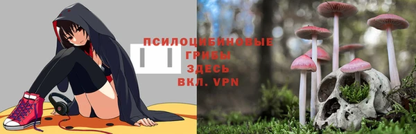 соль курить ск Алексин