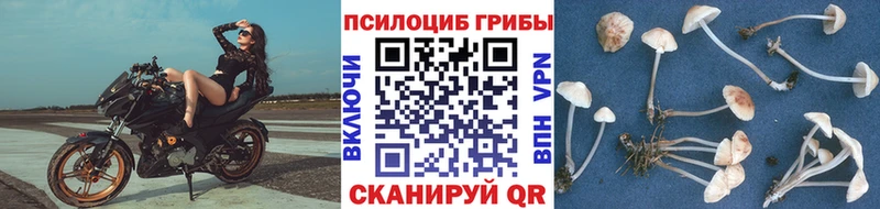 Псилоцибиновые грибы MAGIC MUSHROOMS Павлово